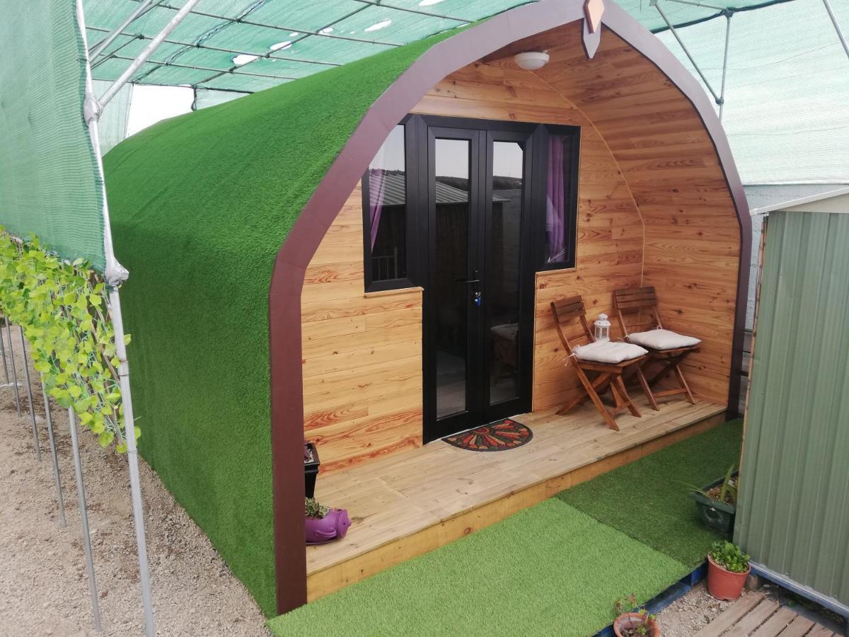 Casita De Verde سانتا كروز دي تينيريف المظهر الخارجي الصورة